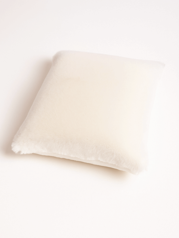Pad Scrub PRO per Interni Auto Pad scrub per interni
